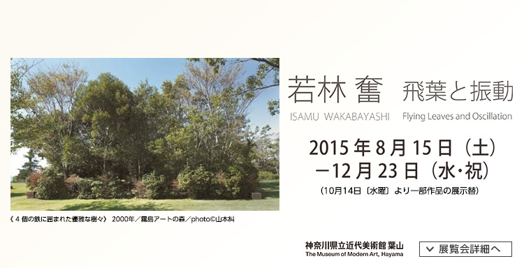 若林奮　飛葉と振動 : ISAMU  WAKABAYASHI　Flying Leaves and Oscillation　会期は2015年8月15日（土曜）から2015年12月23日（水曜・祝日）まで　展覧会内容詳細はこちら