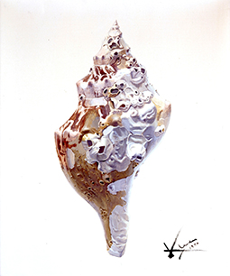 上田薫《貝殻》1970年