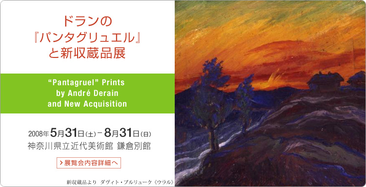 ドランの「パンタグリュエル」と新収蔵品展 神奈川県立近代美術館 鎌倉別館 会期は2008年5月31日 (土曜)から8月31日(日曜)まで 展覧会内容詳細はこちら