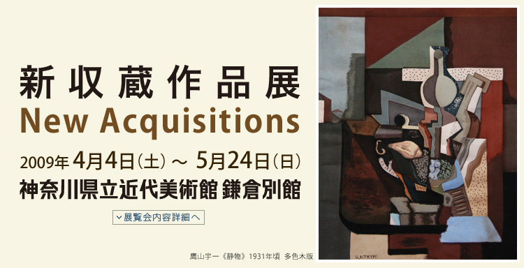 新収蔵品展 New Acquisitions 会期は2009年4月4日(土曜)から5月24日(日曜)まで 展覧会内容詳細はこちら