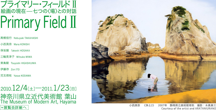 プライマリー・フィールド2 絵画の現在―七つの〈場〉との対話 会期は2010年12月4日(土曜)から2011年1月23日(日曜)まで 展覧会内容詳細はこちら
