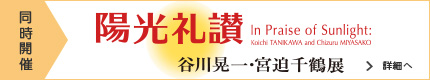 陽光礼讃 谷川晃一・宮迫千鶴展
