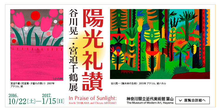 陽光礼讃 谷川晃一・宮迫千鶴展 会期は2016年10月22日(土曜)から2017年1月15日(日曜)まで 展覧会詳細へ