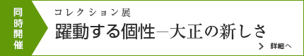 コレクション展 躍動する個性―大正の新しさ