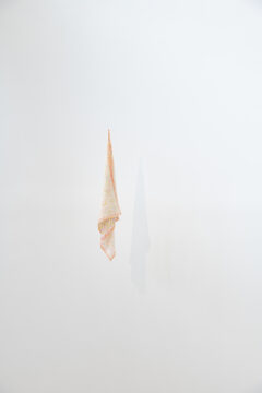 拡大画像を表示する