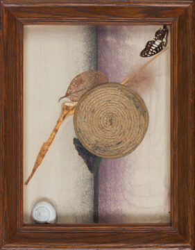 拡大画像を表示する