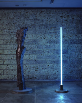 拡大画像を表示する