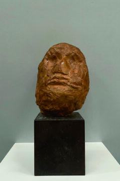 拡大画像を表示する