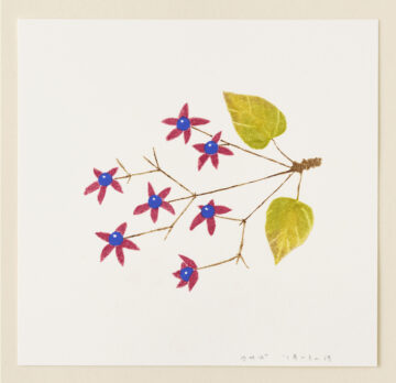 拡大画像を表示する