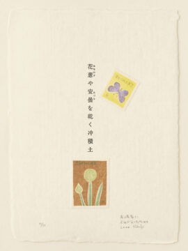 拡大画像を表示する